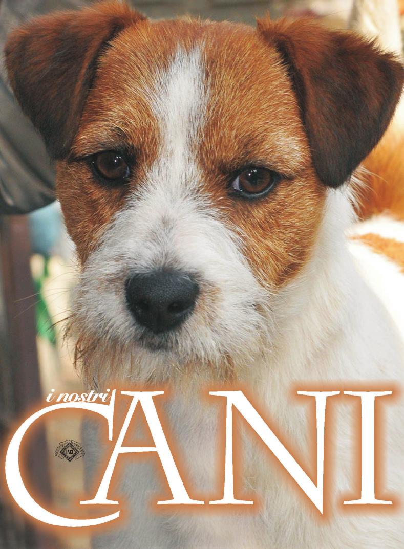 Jack Russell Cane Corso Shar Pei Coppa Europa Allitalia Tollara Il