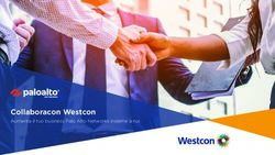 Collaboracon Westcon Aumenta il tuo business Palo Alto Networks insieme a noi
