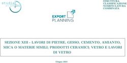 SEZIONE XIII - LAVORI DI PIETRE, GESSO, CEMENTO, AMIANTO, MICA O MATERIE SIMILI; PRODOTTI CERAMICI; VETRO E LAVORI DI VETRO - STRUTTURA ...