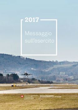 2017 Messaggio sull'esercito - Admin.ch