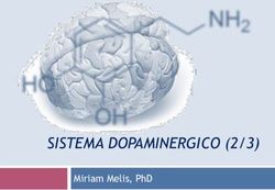 SISTEMA DOPAMINERGICO (2/3) - MIRIAM MELIS, PHD
