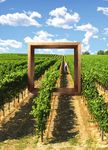 Linea Vite 2022 Innovazione e tradizione per una gamma di soluzioni unica e completa - BASF Agricultural Solutions Italia