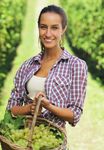 Linea Vite 2022 Innovazione e tradizione per una gamma di soluzioni unica e completa - BASF Agricultural Solutions Italia