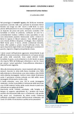 EMERGENZA LIBANO - ESPLOSIONE A BEIRUT
