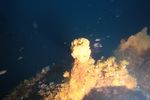 Importante scoperta di un notevole sito idrotermale nel fondale marino intorno all'Isola di Panarea - Ispra