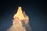 Importante scoperta di un notevole sito idrotermale nel fondale marino intorno all'Isola di Panarea - Ispra