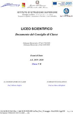 LICEO SCIENTIFICO Documento del Consiglio di Classe - islapira.it