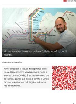 "Il nostro obiettivo &egrave; cancellare l'effetto confine per il cliente" - SBB News