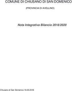 COMUNE DI CHIUSANO DI SAN DOMENICO - Nota Integrativa Bilancio 2018/2020 (PROVINCIA DI AVELLINO) - Halley Informatica