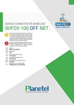 WIFOX 100 OFF NET SERVIZI CONNETTIVIT&Agrave; WIRELESS