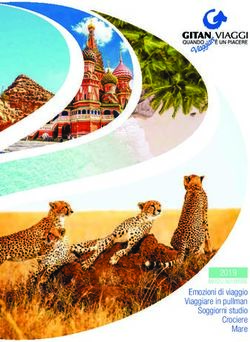 Emozioni di viaggio Viaggiare in pullman Soggiorni studio Crociere Mare 2019 - Gitan Viaggi