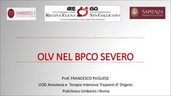 OLV NEL BPCO SEVERO Prof. FRANCESCO PUGLIESE UOD Anestesia e Terapia Intensiva Trapianti d' Organo Policlinico Umberto I Roma - Siaarti