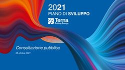 2021 PIANO DI SVILUPPO - Consultazione pubblica