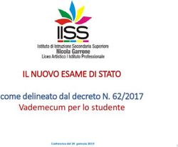 IL NUOVO ESAME DI STATO - come delineato dal decreto N. 62/2017 Vademecum per lo studente - n. garrone