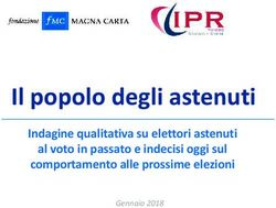 Indagine qualitativa su elettori astenuti al voto in passato e indecisi oggi sul comportamento alle prossime elezioni - Fondazione Magna Carta