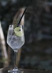 Aperitivi Gin Tonic Spritz Basilito Prosecco - Largo Galeffi