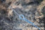 MAGGIO 2022 - Certifico Srl