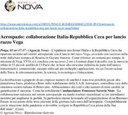 Aerospazio: collaborazione Italia-Repubblica Ceca per lancio razzo Vega