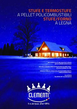 STUFE E TERMOSTUFE A PELLET POLICOMBUSTIBILI
