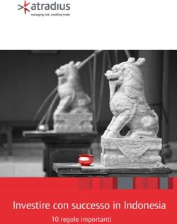 Investire con successo in Indonesia - 10 regole importanti - Atradius