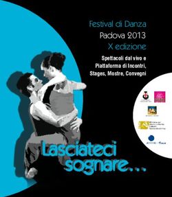 Festival di Danza Padova 2013 X edizione - Spettacoli dal vivo e Piattaforma di Incontri, Stages, Mostre, Convegni