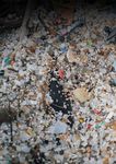 Inquinamento silenzioso - Chi contamina le coste pugliesi con i granuli di plastica? - Greenpeace