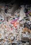 Inquinamento silenzioso - Chi contamina le coste pugliesi con i granuli di plastica? - Greenpeace