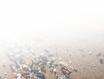 Inquinamento silenzioso - Chi contamina le coste pugliesi con i granuli di plastica? - Greenpeace