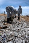 Inquinamento silenzioso - Chi contamina le coste pugliesi con i granuli di plastica? - Greenpeace