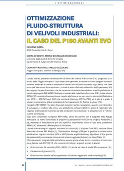 OTTIMIZZAZIONE FLUIDO-STRUTTURA DI VELIVOLI INDUSTRIALI: IL CASO DEL P180 AVANTI EVO - RBF MORPH