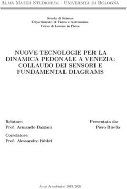 NUOVE TECNOLOGIE PER LA DINAMICA PEDONALE A VENEZIA: COLLAUDO DEI SENSORI E FUNDAMENTAL DIAGRAMS