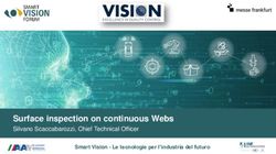 Surface inspection on continuous Webs - Silvano Scaccabarozzi, Chief Technical Officer