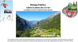 Montagna Didattica: "Libera la natura che &egrave; in te!" - parco avventura a ...
