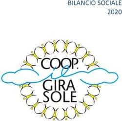BILANCIO SOCIALE 2020 - Societ&agrave; Cooperativa Sociale Il ...