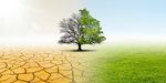 I peccati della carne e la difesa dell'ambiente - Neodemos