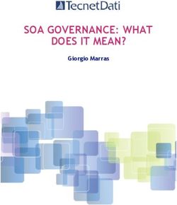 SOA GOVERNANCE: WHAT DOES IT MEAN? - Giorgio Marras
