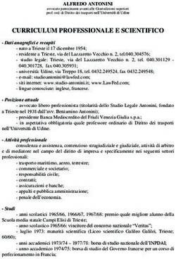 CURRICULUM PROFESSIONALE E SCIENTIFICO - Trieste Airport
