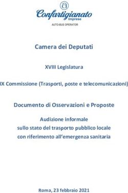 Camera dei Deputati Documento di Osservazioni e Proposte - XVIII Legislatura IX Commissione (Trasporti, poste e telecomunicazioni) - Confartigianato