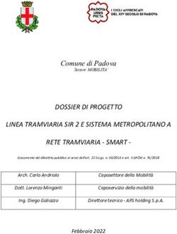 DOSSIER DI PROGETTO LINEA TRAMVIARIA SIR 2 E SISTEMA METROPOLITANO A RETE TRAMVIARIA - SMART