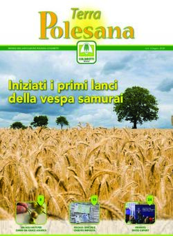 Iniziati i primi lanci della vespa samurai - VENETO