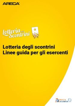 Lotteria degli scontrini Linee guida per gli esercenti