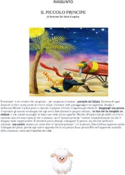 RIASSUNTO IL PICCOLO PRINCIPE - docere