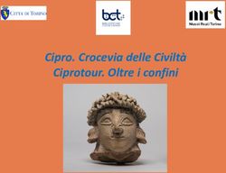 Cipro. Crocevia delle Civiltà Ciprotour. Oltre i confini