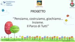 PROGETTO ''Pensiamo, costruiamo, giochiamo Insieme. Il Parco di Tutti'' - M. Eleonora Reffo - Fondazione Robert ...
