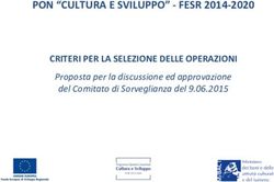 PON "CULTURA E SVILUPPO" - FESR 2014-2020 - CRITERI PER LA SELEZIONE DELLE OPERAZIONI - MIBACT