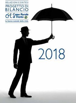 2018 PROGETTO DI RELAZIONI E SINTESI - Cassa di Trento