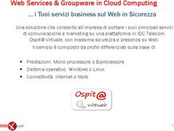 Web Services & Groupware in Cloud Computing i Tuoi servizi business sul Web in Sicurezza