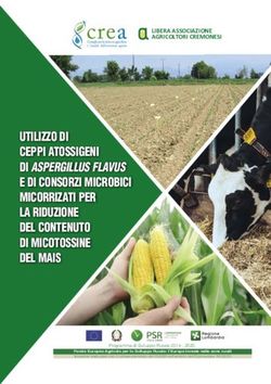 UTILIZZO DI CEPPI ATOSSIGENI DI ASPERGILLUS FLAVUS E DI CONSORZI MICROBICI MICORRIZATI PER LA RIDUZIONE DEL CONTENUTO DI MICOTOSSINE DEL MAIS