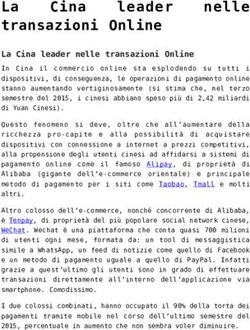 Transazioni Online - Sviluppo Cina