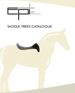 SADDLE TREES CATALOGUE - Epi